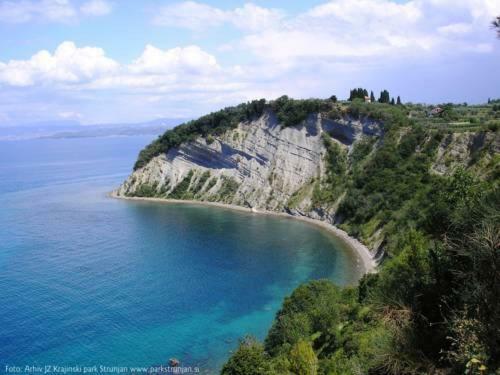 Amazing View Pirano Lägenhet Exteriör bild